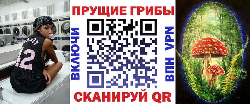 Псилоцибиновые грибы прущие грибы  Старица 